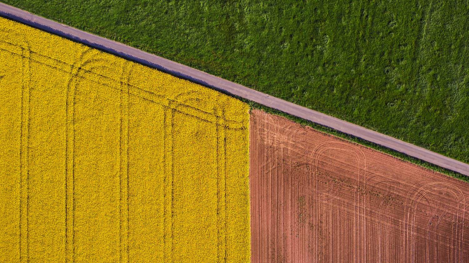 Agricultural fields have some fantastic lines.