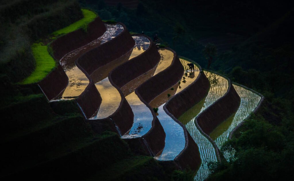 Staggered layers of rice fields in the mountains of Vietnam. A great image to purvey growth and adaptiveness.